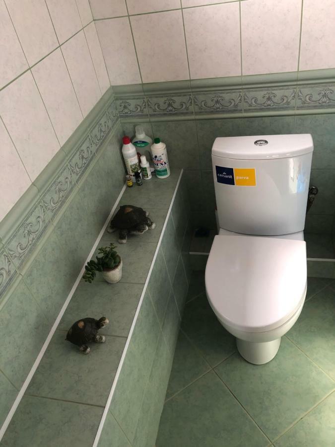 Paukoje Apartamentai Ignalina Εξωτερικό φωτογραφία